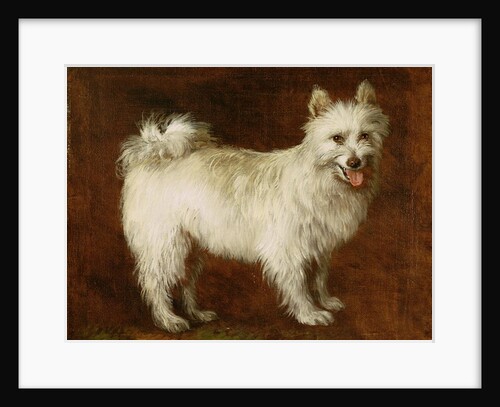 Spitz Dog, c.1760-70 by Thomas Gainsborough