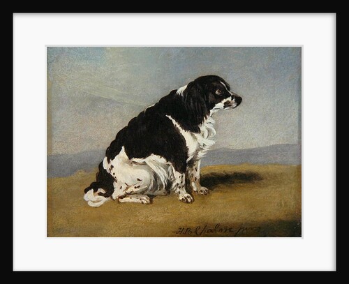 The Duchess of York's Spaniel, 1804 by Henry Bernard Chalon
