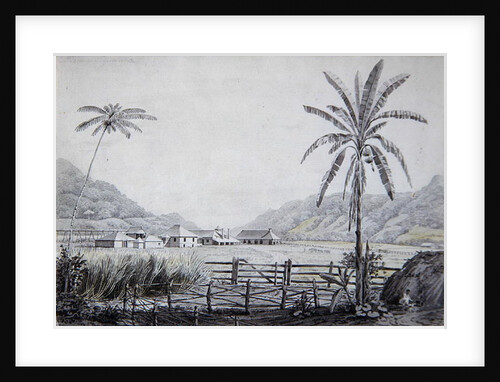 Halse Hall, Jamaica, c.1780 by English School