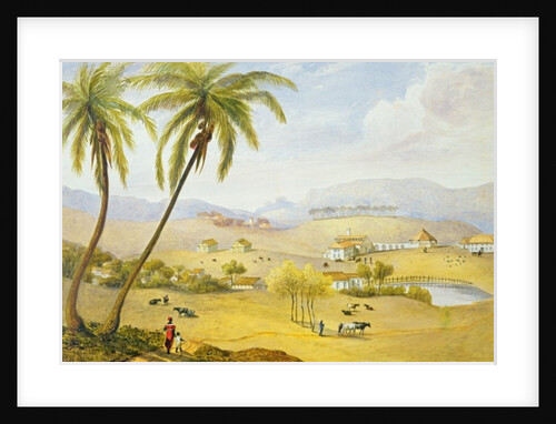 Haughton Court, Hanover, Jamaica, c.1820 by James Hakewill