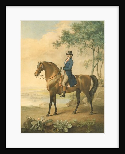 Warren Hastings on his Arabian Horse, 1796 by George Townley Stubbs