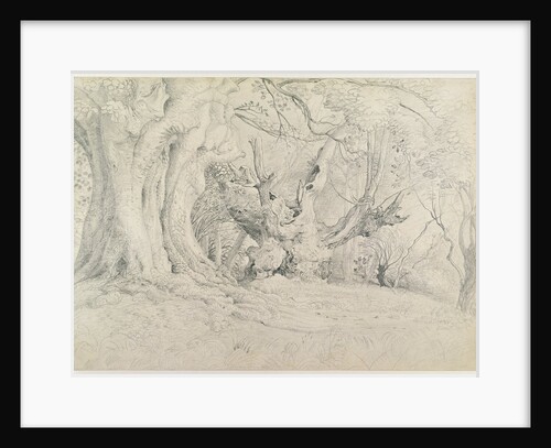 Ancient Trees, Lullingstone Park, 1828 by Samuel Palmer