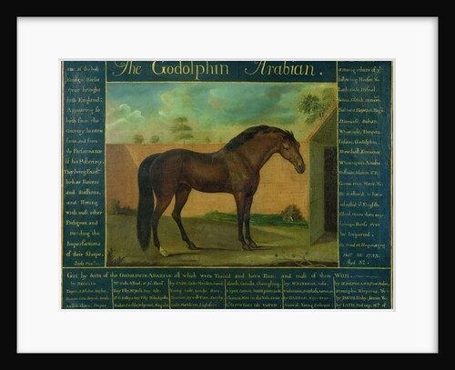 The Godolphin Arabian by D. Quigley