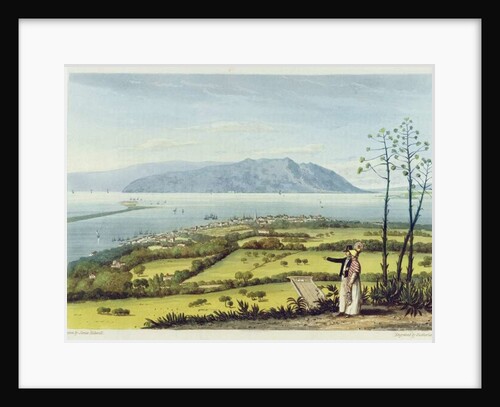 Kingston and Port Royal from Windsor Farm by James Hakewill