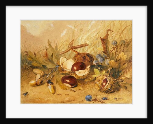 Still Life with Acorns and Horse Chestnuts by English School