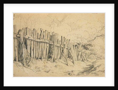 Windsor Park Paling by James Ward