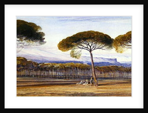 A View of the Pine Woods Above Cannes, 1869 by Edward Lear