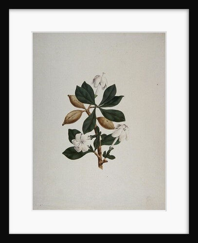 Aquariti by James Bruce