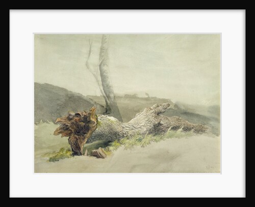 The Fallen Tree, c.1804 by Robert Hills