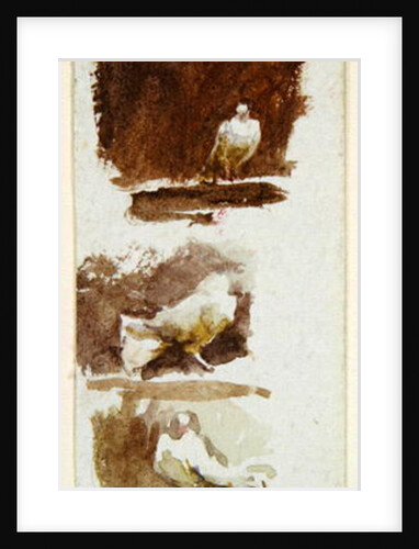 Doves by Helen Allingham