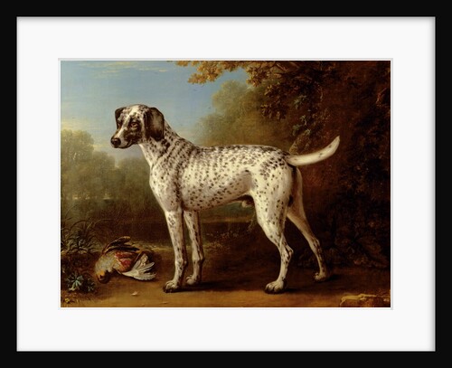 Grey spotted hound, 1738 by John Wootton