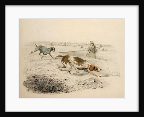 Two Pointers, facing right with a Sportsman by Henry Thomas Alken