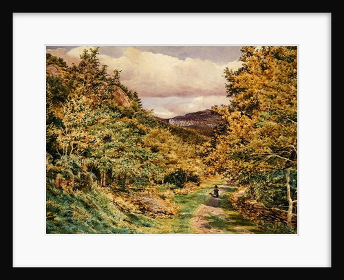 A Road near Bettws-y-Coed, 1851 by George Price Boyce