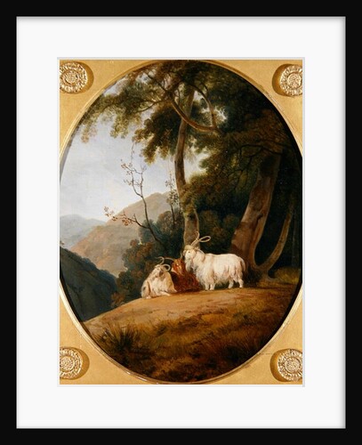Kashmir Goats, c.1780-1820 by William Daniell