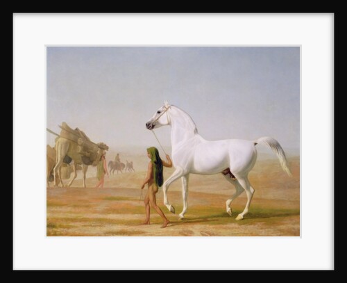 The Wellesley Grey Arabian led through the Desert, c.1810 by Jacques-Laurent Agasse