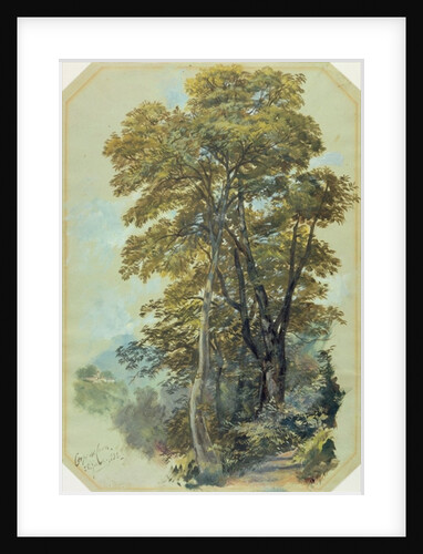 Edward Lear, Corpo di Cava, 28 June, 1838 by Edward Lear