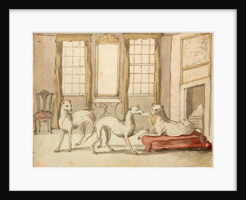 Three Greyhounds in a room by Pieter Casteels