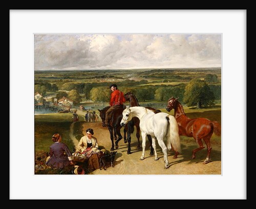 Exercising the royal horses, 1847-55 by John Frederick Herring Snr