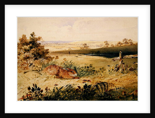 Hare in a Landscape, 1827 by Newton Fielding