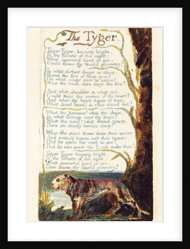 The Tyger by William Blake