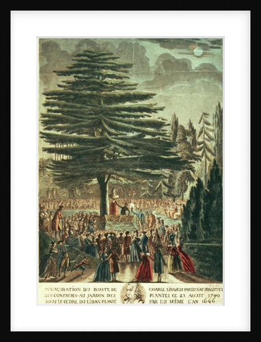 Inauguration of the bust of Carl Linnaeus in the Jardin des Plantes, underneath the Cedar of Lebanon which he planted in 1646, 23rd August 1790 by French School