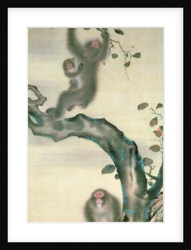 Family of Monkeys in a Tree by School Japanese
