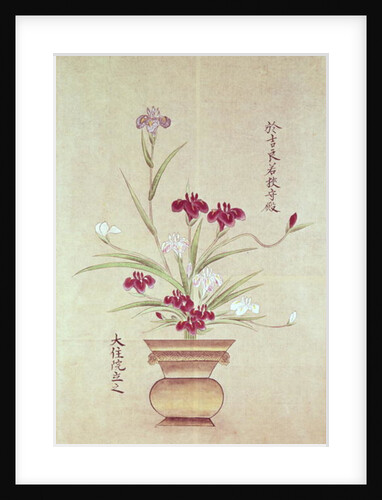 Orchids by School Japanese