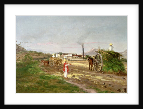 Peasants Collecting Sugar Cane, Central America, c.1840 by American School