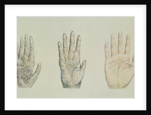 Hands of a primate and a human by English School