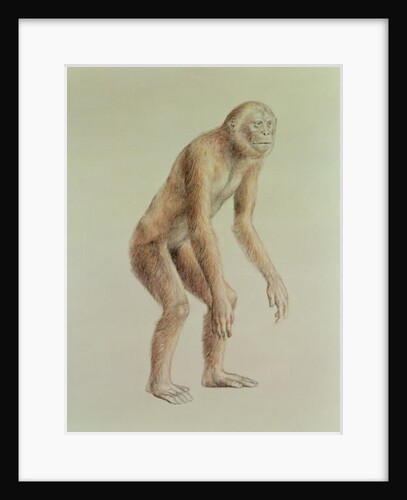 Ramapithecus by English School