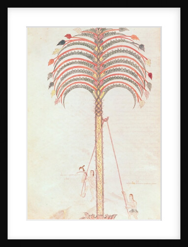 Fol.147v The Metaphor of the Palm Tree by Spanish School
