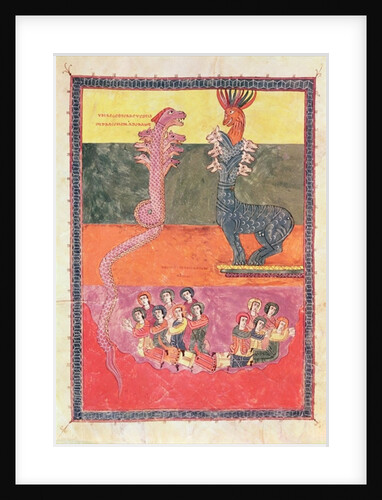 The Dragons by School Spanish