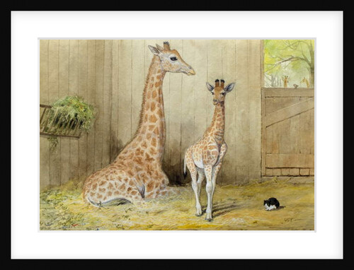 Giraffe and Young, 1852 by Joseph Wolf