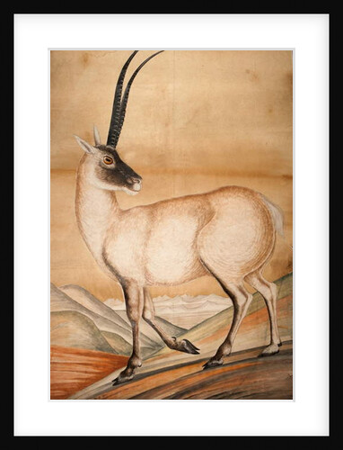 Chiru, 1840 by Raj Man Singh