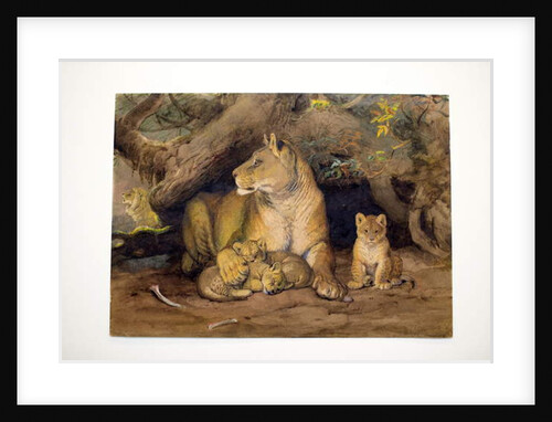 Lioness and Young, 1855 by Joseph Wolf