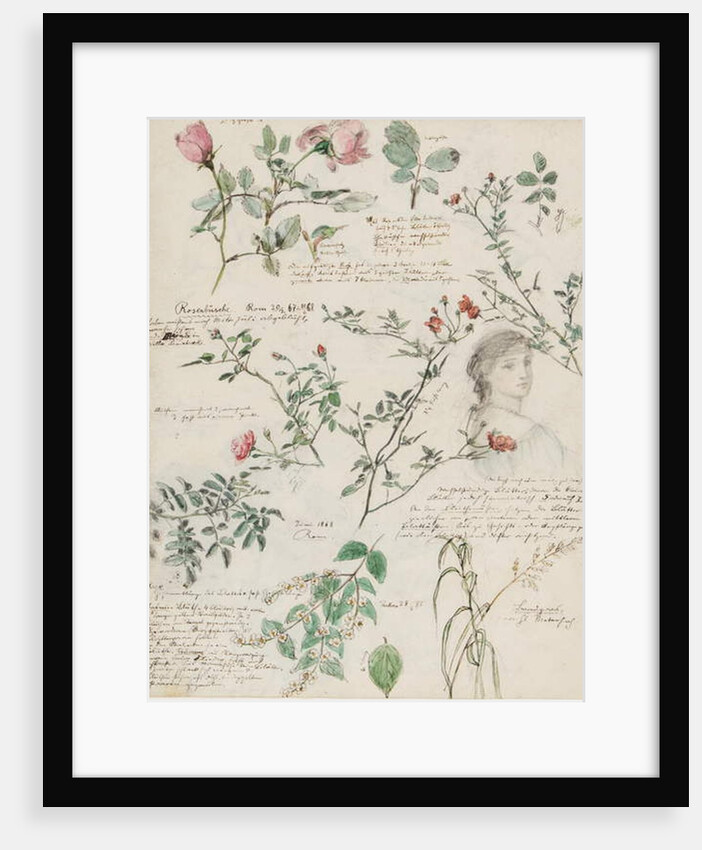 Studies of plants and figures made in Rome and Pankow, Berlin, 1868 by German School