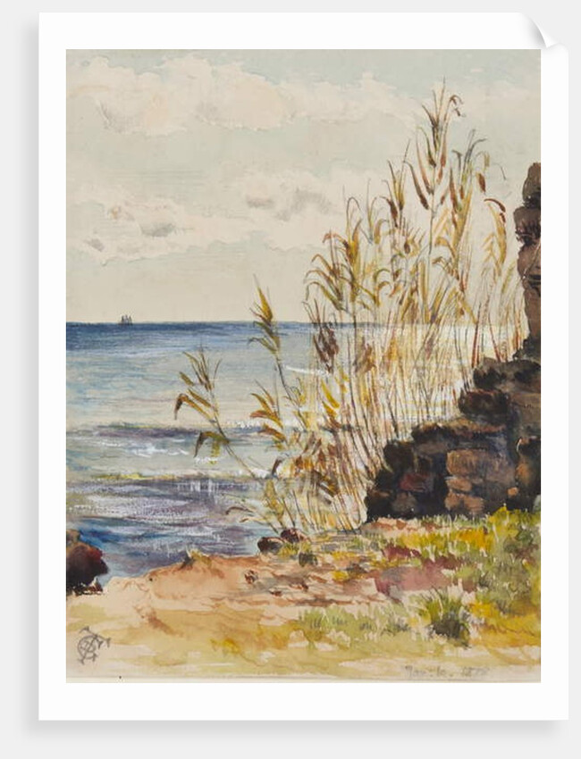 At San Remo looking over the Mediterranean, 10th January 1878 by George Douglas Tinling