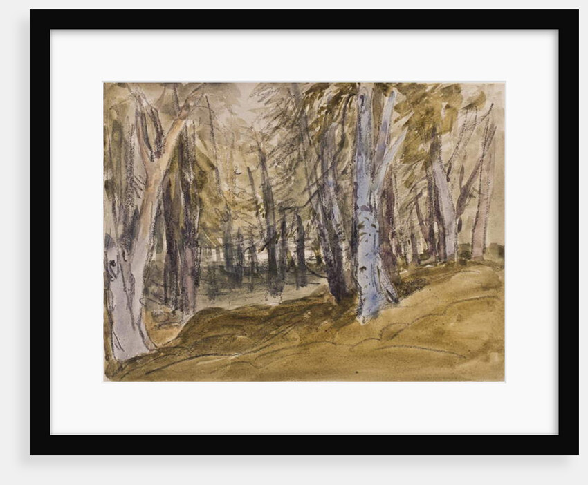 Trees on Box Hill by David Cox