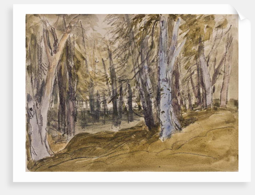 Trees on Box Hill by David Cox