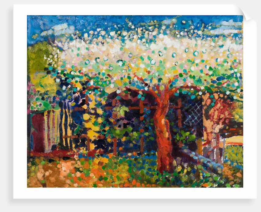 Apple Tree Blossom by Marco Cazzulini