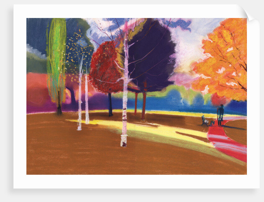 Victoria Park, Bath by Marco Cazzulini