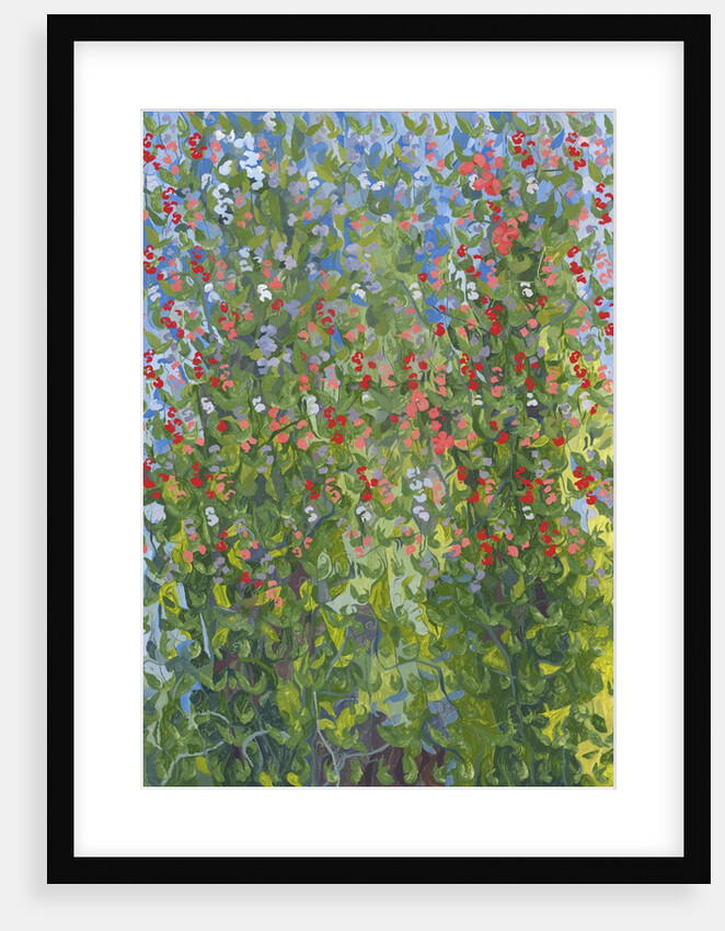 Sweet Peas, 2014 by Leigh Glover