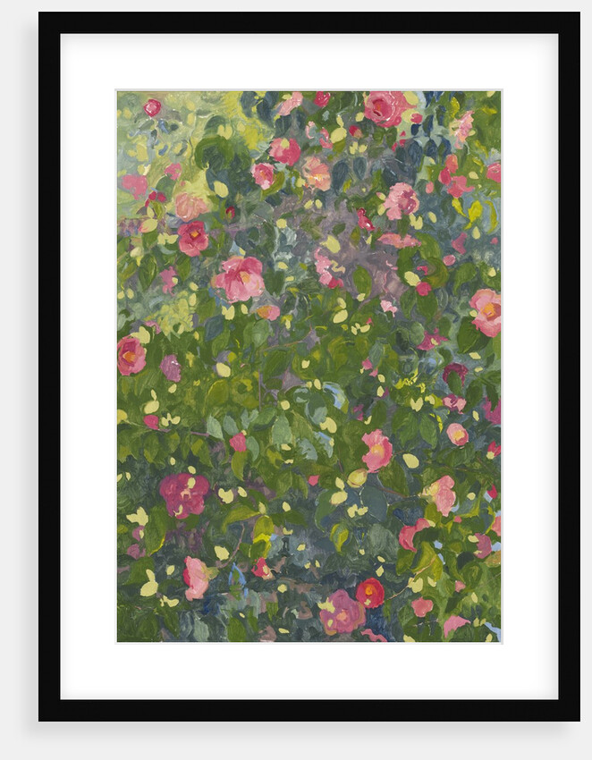 Camellia in Flower, 2014 by Leigh Glover