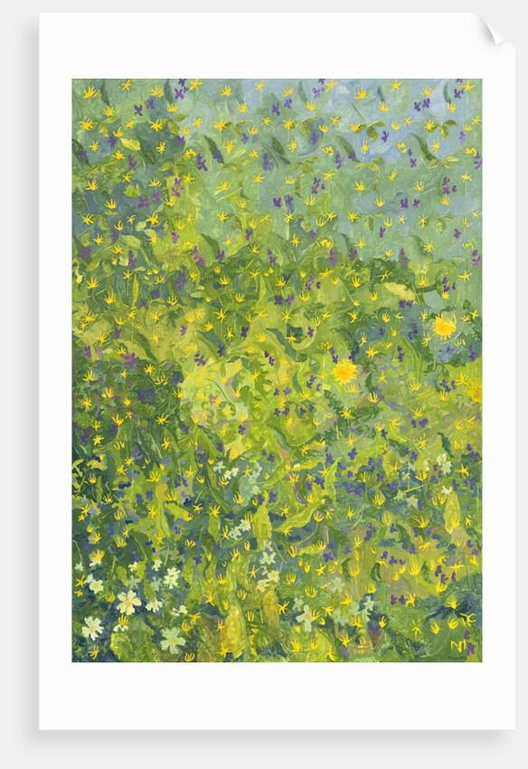 Woodland Opening, 2014 by Leigh Glover