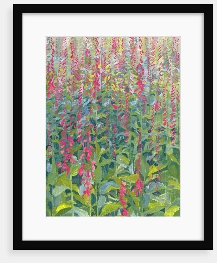 Foxgloves, 2014 by Leigh Glover