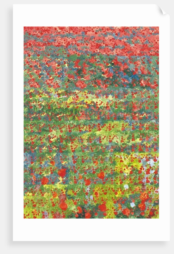 Poppies, 2012 by Leigh Glover