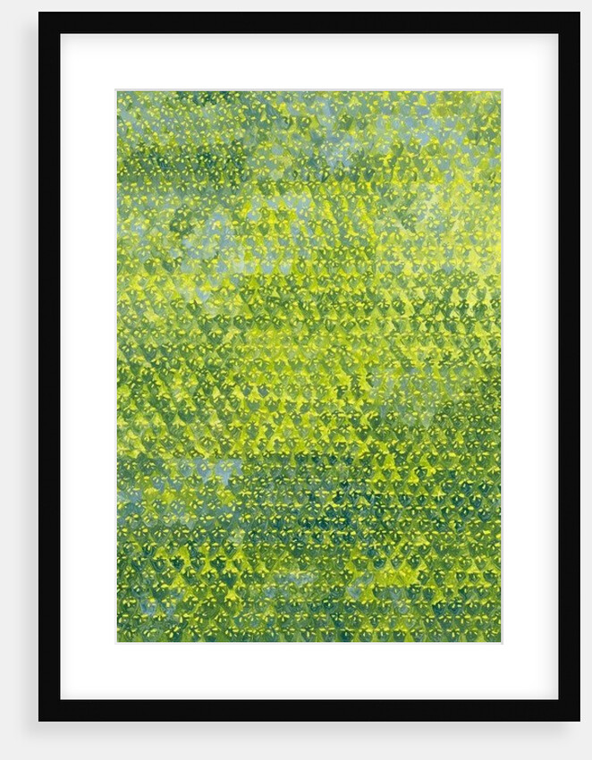 Daffodils, 2012 by Leigh Glover