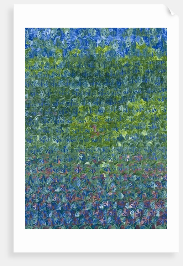 Bluebells, 2012 by Leigh Glover