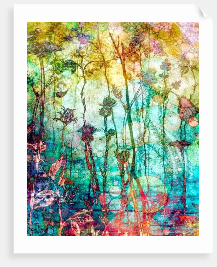 A Rich Tapestry, 2014 by AlyZen Moonshadow