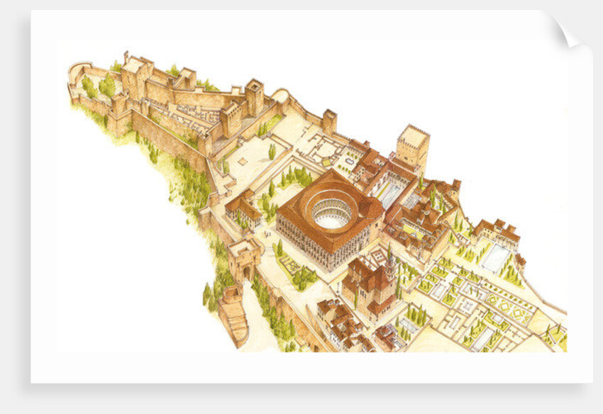 Alhambra, Granada, Spain. Castle and palaces by Fernando Aznar Cenamor
